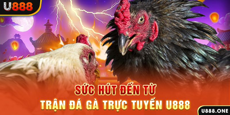 kubet3933 đá gà trực tiếp c1