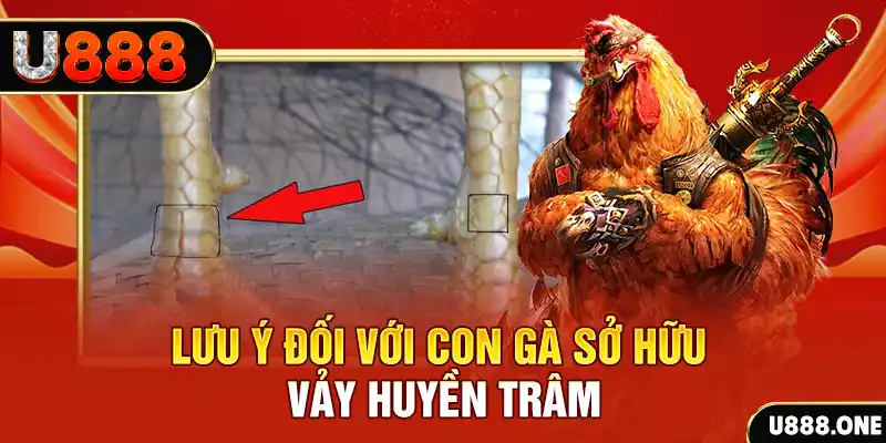 kubet3933 kết quả xổ số miền nam hôm nay