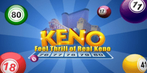 kubet3933 gà chọi c1 thomo