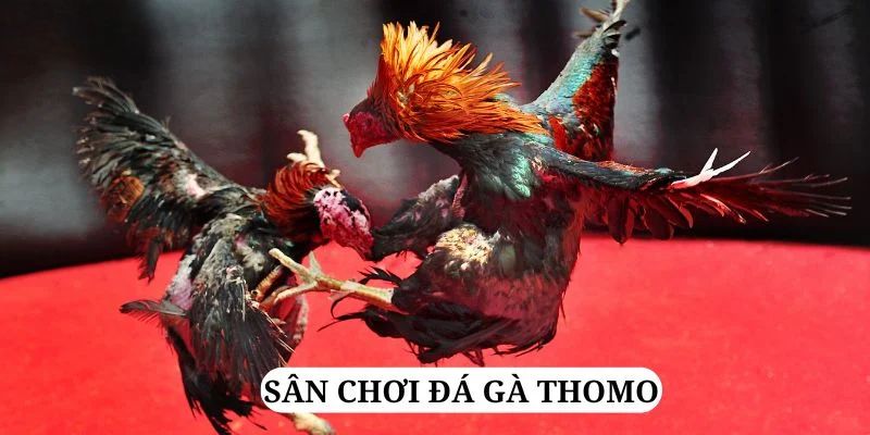 kubet3933 trực tiếp xổ số miền bắc
